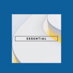 پلاس اسنشیال پریمیوم پلی استیشن | PlayStation Plus Essential